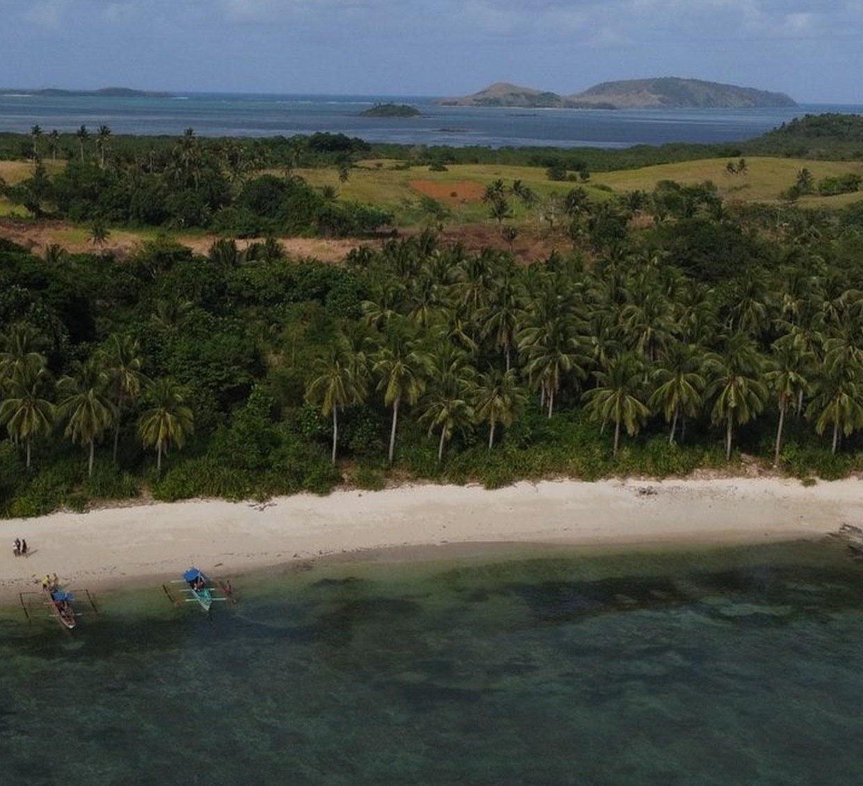 Aerial view of Calaguas — palm-lined white beach meeting a clear sea